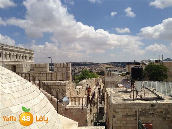 rashidiyasy 0531 (38).jpg